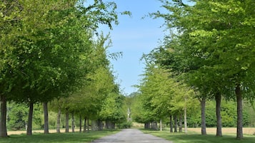 Een pad omzoomd door bomen dat naar een gebouw in de verte leidt.