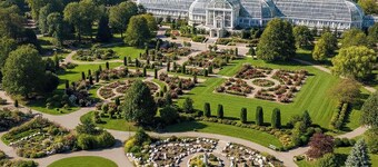 Summit Scholars Suites For 12