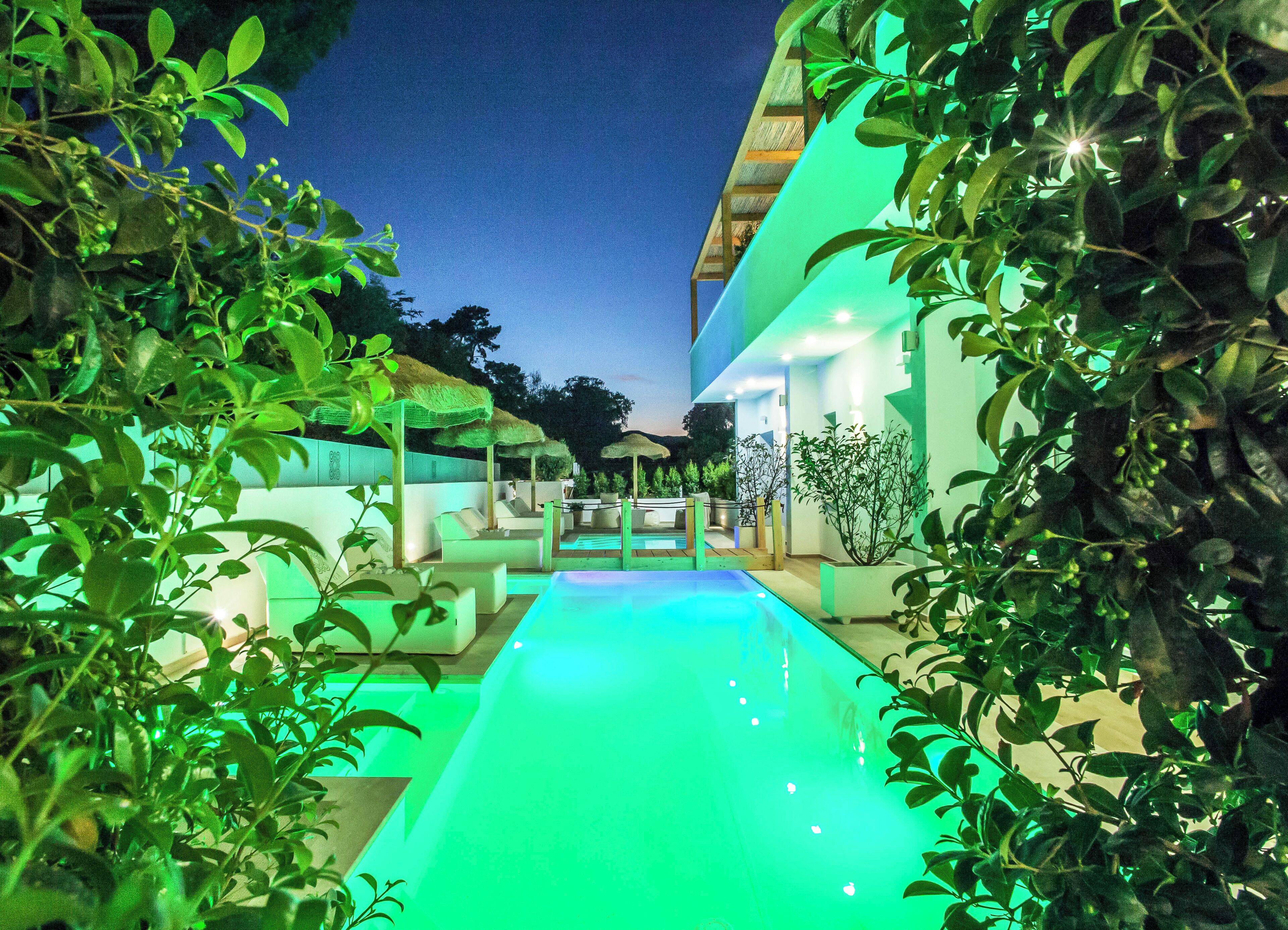 Un espace piscine agrémenté de chaises longues et de parasols, entouré de verdure.