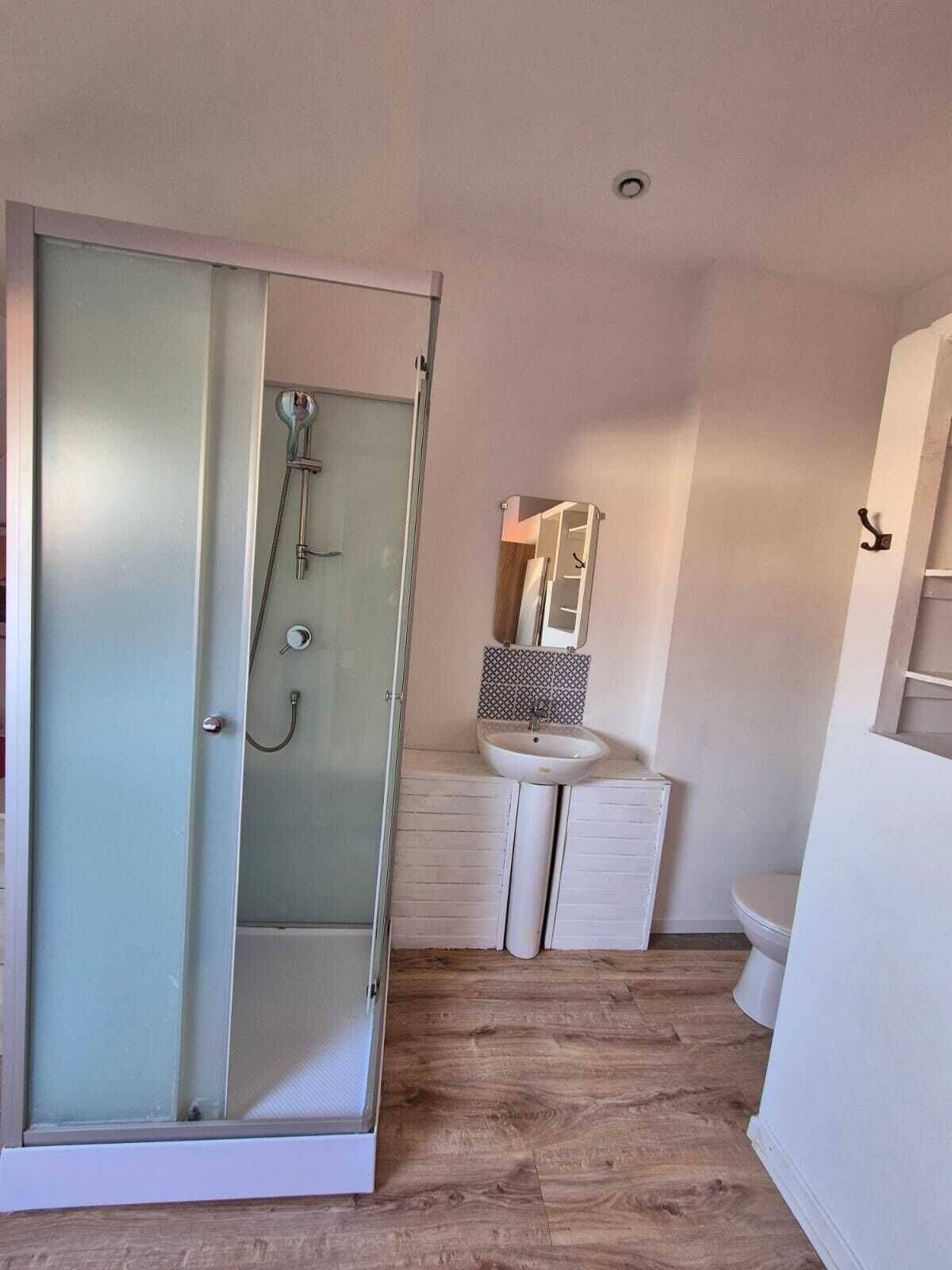 A bathroom with a glass shower enclosure, a white sink, and a mirror above it.