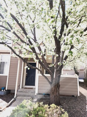 A residential building with a front door, a driveway, and a tree with white blossoms. - Casa de gato (Westminster)