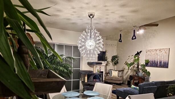 A modern living room with a glass coffee table, a sofa, and a cat tree. - Casa de gato (Westminster)