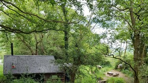 A rustic cabin surrounded by dense greenery and a small stream.