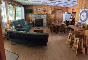 Televisión, chimenea, reproductor de DVD y libros