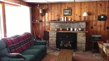 TV, fireplace, DVD player, books