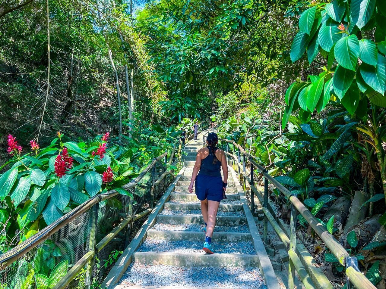 Uma pessoa caminhando em uma escadaria de pedra cercada por vegetação exuberante e flores vermelhas.