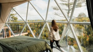 Un dormitorio con un ventanal grande, una cama y vistas a un bosque.