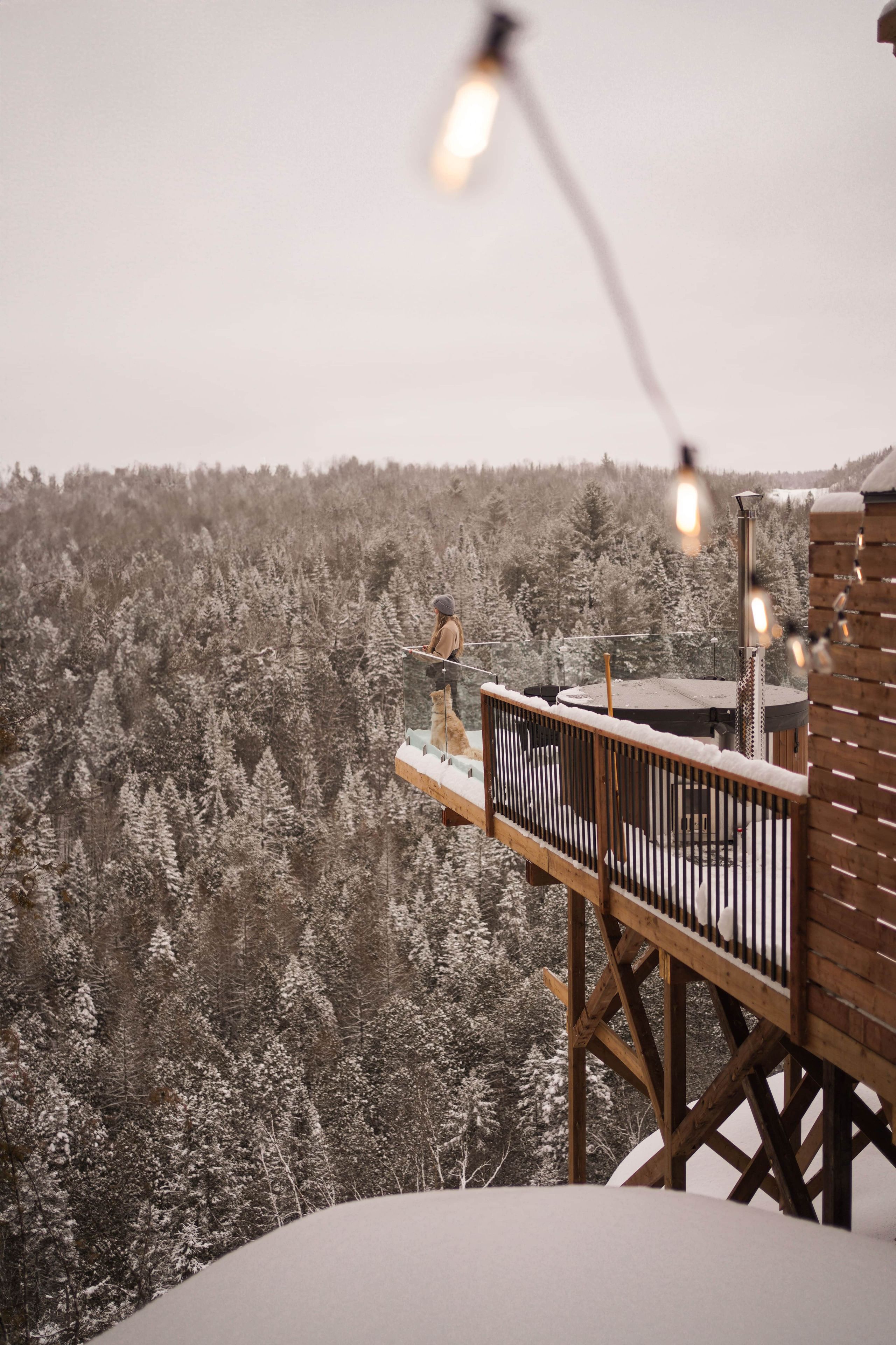 Een houten terras met een leuning met uitzicht op een besneeuwd bos.