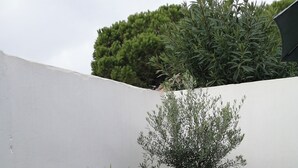 A rooftop garden with various plants and a wooden deck.