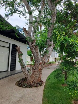 Enceinte de l’hébergement