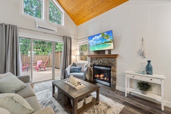 TV connectée, cheminée, livres