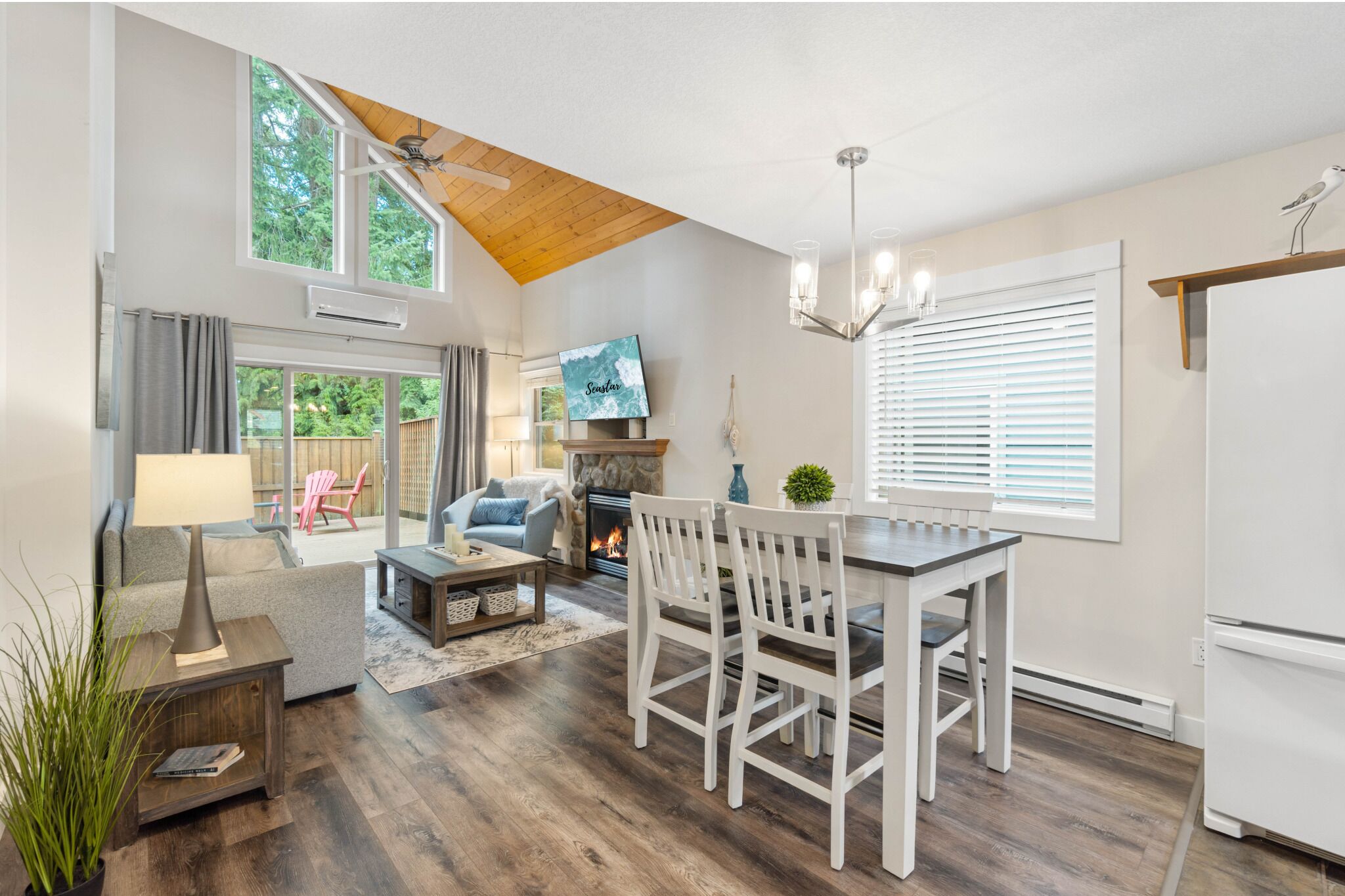 Smart TV, fireplace, books