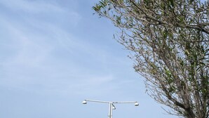A park with a white lamp post, a paved walkway, and a view of the sea.
