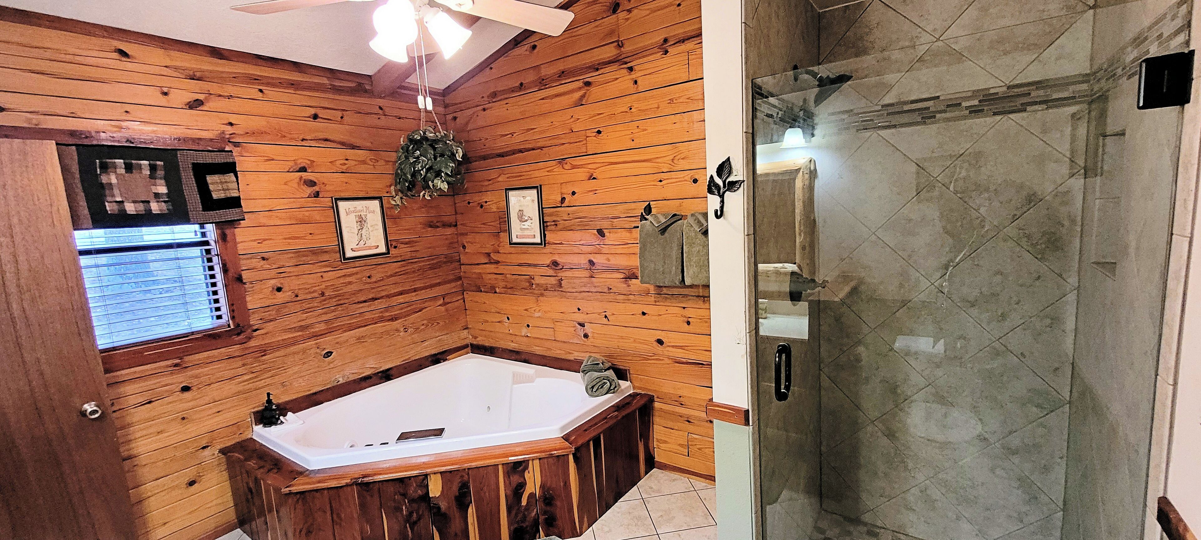 Shower, jetted bath, hair dryer, towels