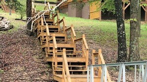 Una escalera de madera baja hacia un cuerpo de agua, rodeada de árboles y una terraza de madera.