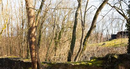 Klosterquartier Georgenthal