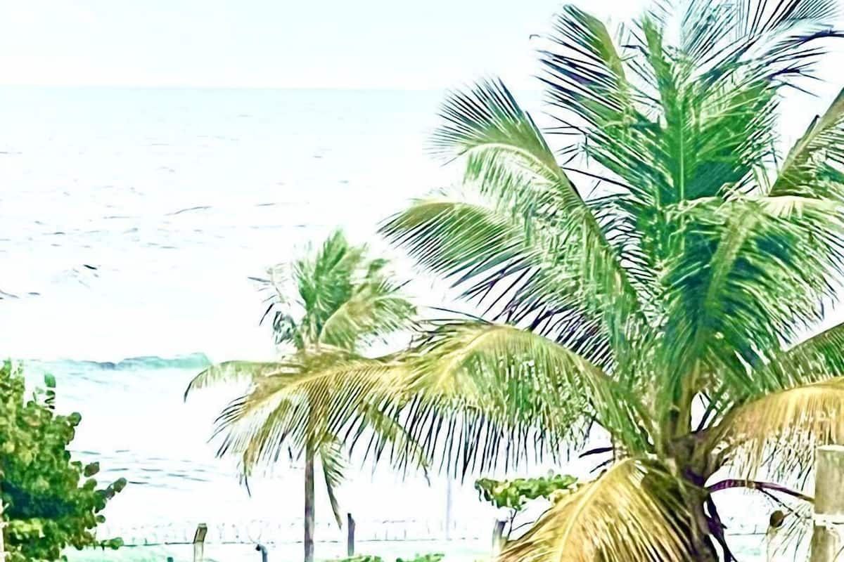 Comfort Studio Suite, Patio, Sea View | WiFi (free)