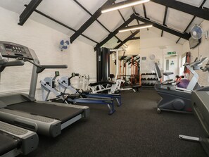A gym with treadmills, weight machines, and a weight rack. - Valley Lodge 37 (Gunnislake)