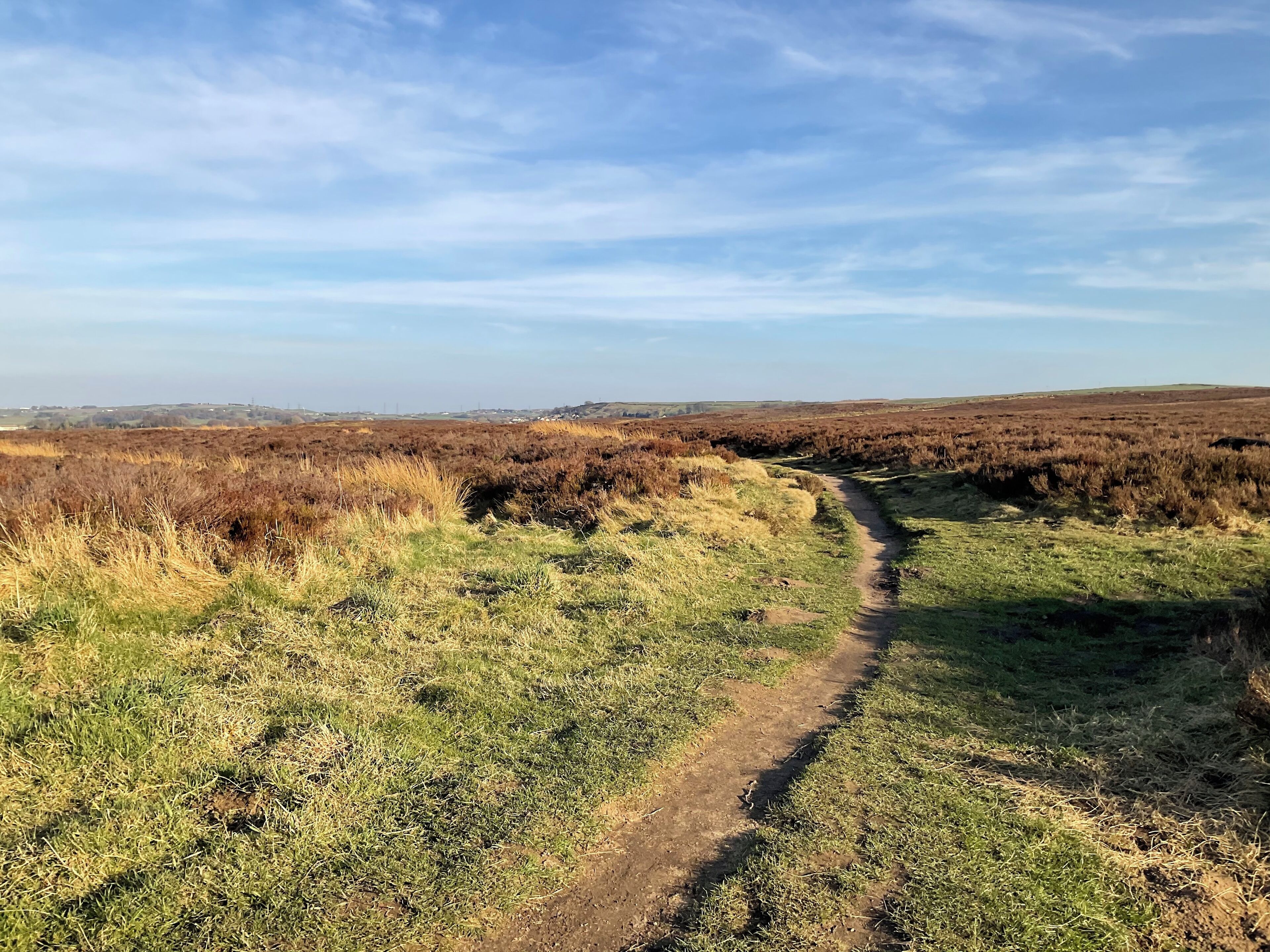 A dirt path winding through a field with sparse vegetation and distant hills.