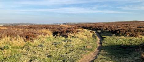 A dirt path winding through a field with sparse vegetation and distant hills.