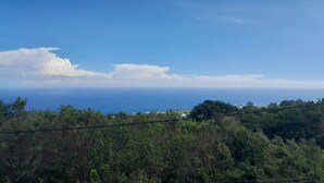 A coastal landscape with dense greenery and a clear view of the ocean. - Les Longanis Sea View and Shared Pool Mont Vert (Mont Vert les Bas)