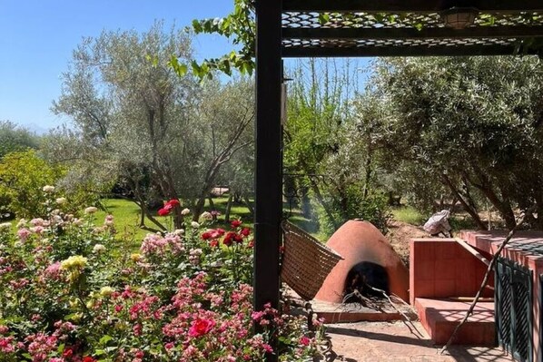 Property grounds - Private olive farm for families | Marrakech | Pool (Marrakesh)