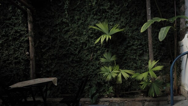 A stone bench in a shaded garden area with dense foliage and a wooden structure in the background. - Comfort Suite 101 - Acayaca Inn (Centro Diamantina)