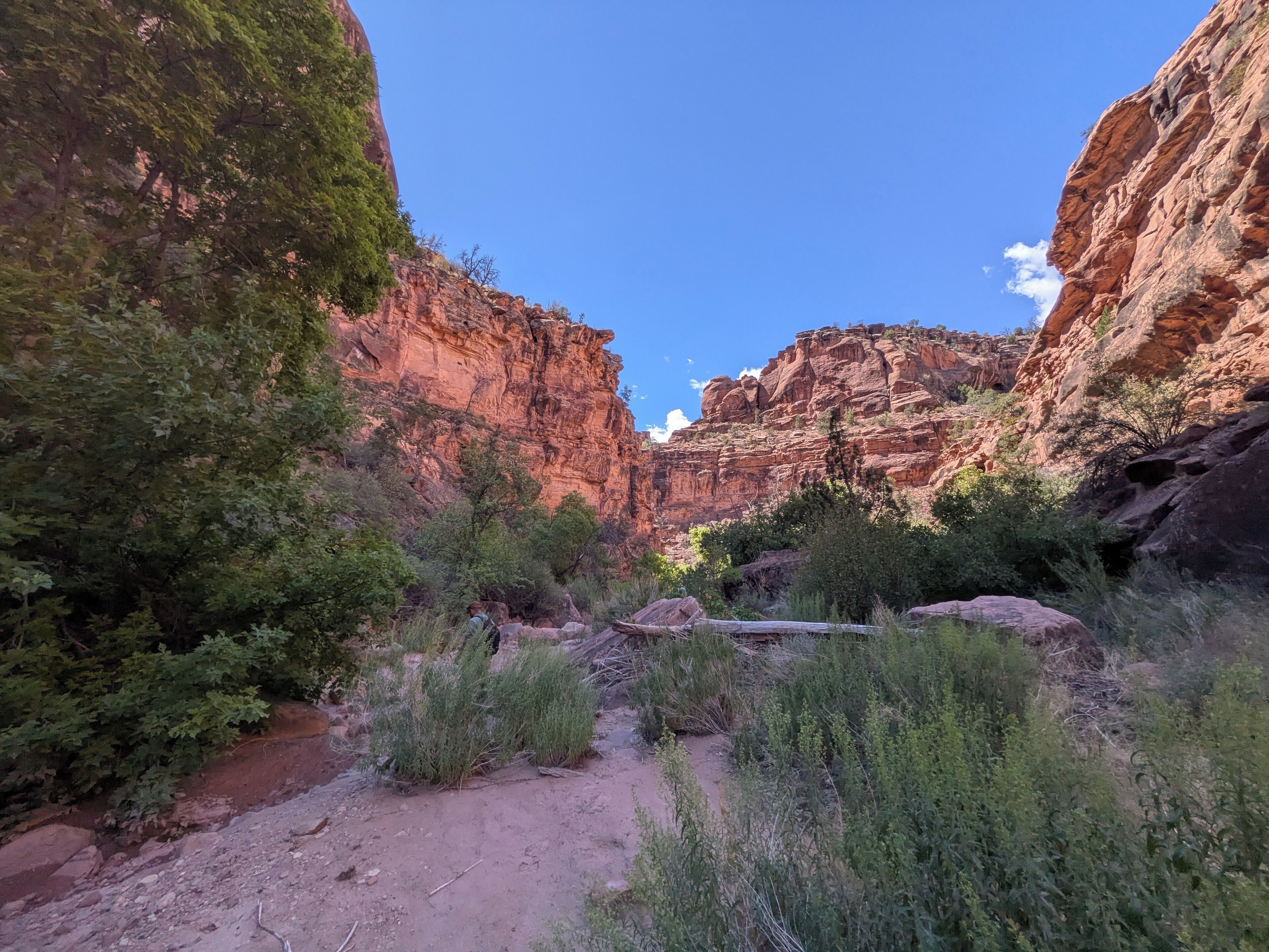 A canyon with rocky cliffs and sparse vegetation.