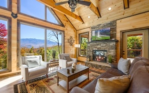 Smart TV, fireplace, books