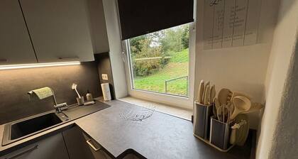 Forest View - near Rußweiher