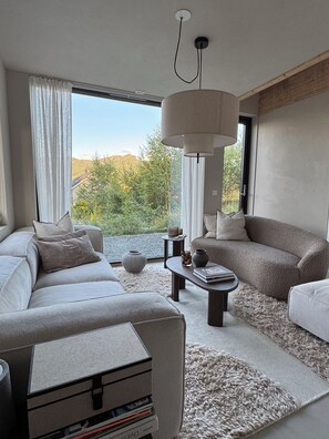 Smart TV, chimenea y libros 