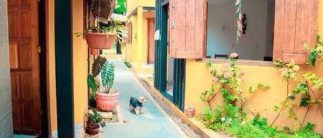 Blick von der Unterkunft