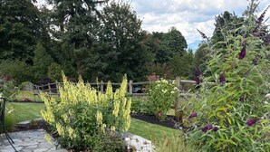 A garden pathway with stone tiles, surrounded by various plants and flowers. - Charming 1-bedroom house with WiFi, AC , laundry in lovely Snohomish (Snohomish)
