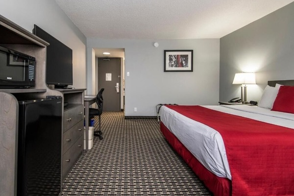 Unit with King bed. Exact unit will be assigned upon arrival. Views, colors, and decor may vary.