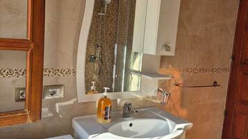 Shower, hair dryer, bidet, toilet paper