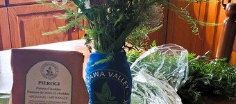 Family Farmstay Adventure – Rural Escape with Farm Fun & Space to Explore!