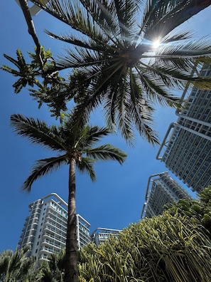 Private beach, white sand, free beach cabanas, beach towels - AZURE URBAN RESIDENCES STAYCATION (Parañaque)