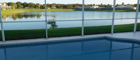 Una piscina interior con vistas a un lago y casas al fondo.