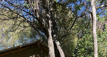Casa Piedra Shelter