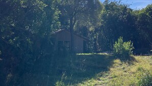 A house surrounded by dense trees and greenery, with sunlight filtering through the foliage.
