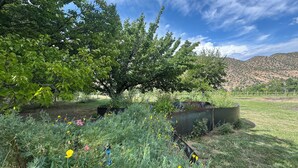 A natural landscape with a tree, wildflowers, and a metal structure.