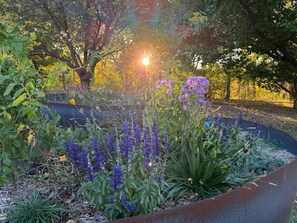 Um jardim com diversas plantas e flores, um vaso de metal e uma árvore com a luz do sol filtrando pelas folhas.