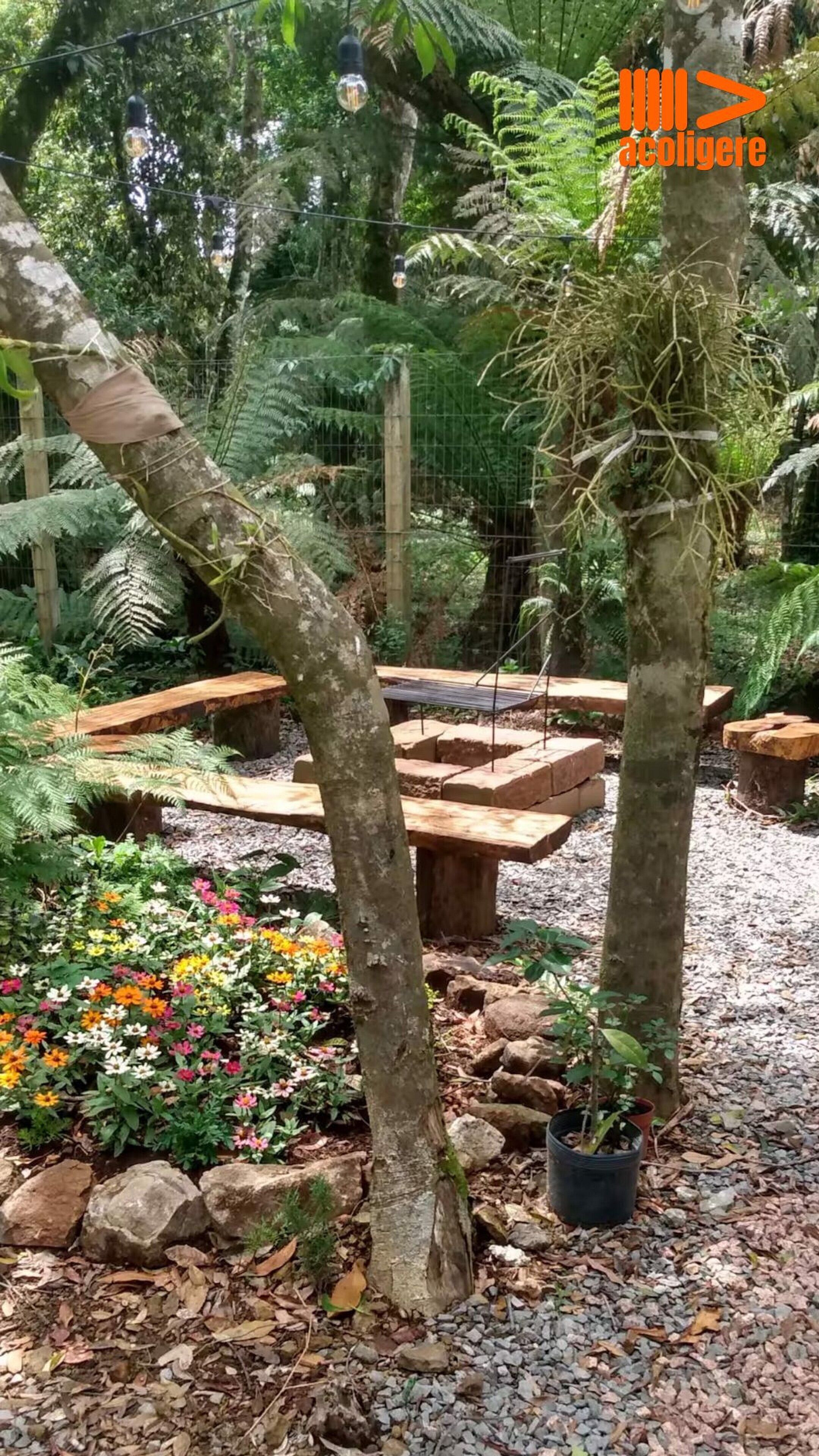 Studio | Terrace/patio