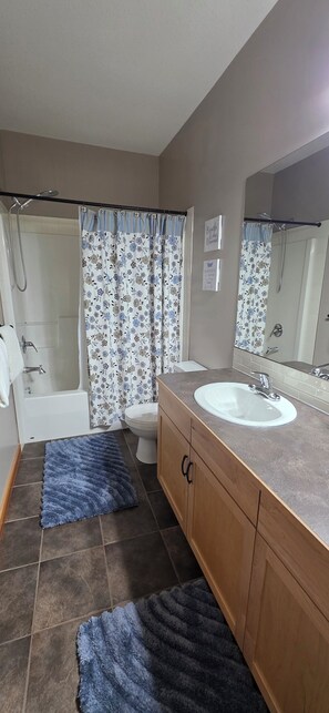 Hair dryer, towels, soap, toilet paper