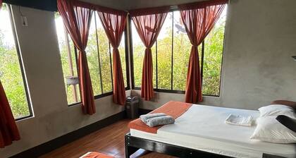 Colibrí Tayutic Cabins