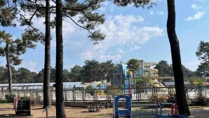 A playground with slides and swings, surrounded by trees and a greenhouse structure in the background.