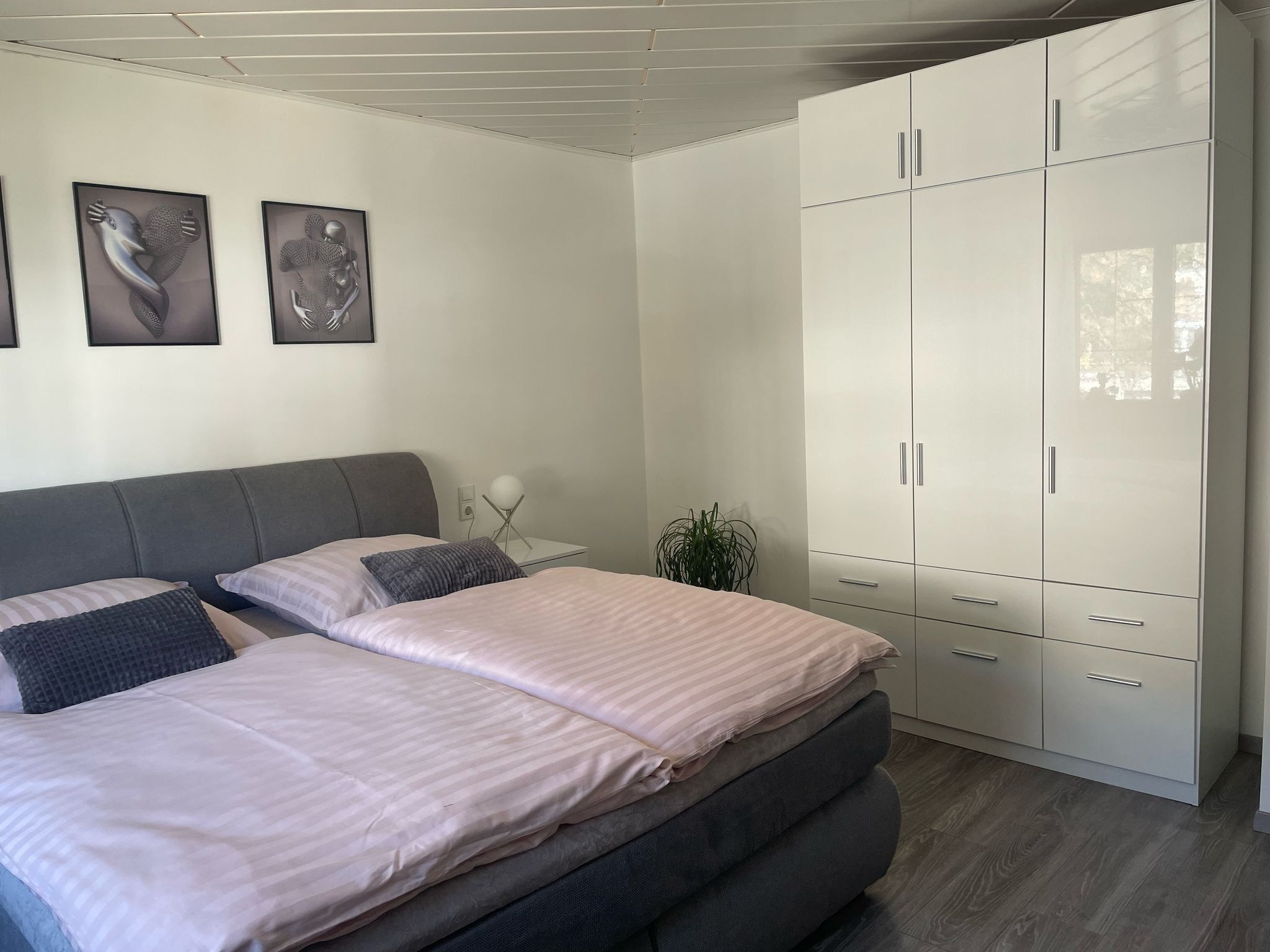 Een slaapkamer met een bed, twee nachtkastjes, een kamerplant en een kledingkast.