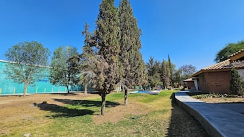 Cabaña estándar | Vista al jardín