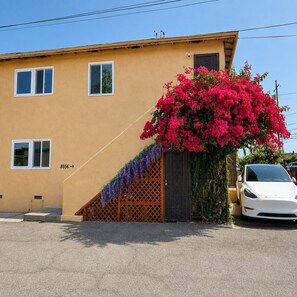 A yellow building with a white car parked in front, a number '8956' on the wall, and a large pink flowering plant.