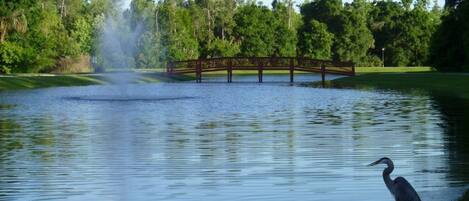 Un parque con un estanque, un puente y una garza posada junto al agua.
